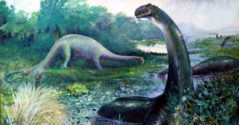 Bilim insanları bir dinozorda kanser buldu: İnsan tümörüyle aynı tür – Son Dakika Teknoloji Haberleri