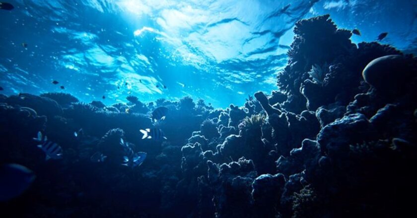 Okyanusun altından sızıyor: Antarktika’da şaşırtan keşif