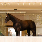 Sanatı ve teknolojiyi harmanlayan kahve gündemde!