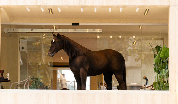 Sanatı ve teknolojiyi harmanlayan kahve gündemde!