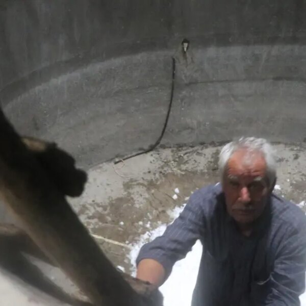 Kuyuları çuval çuval dolduruyorlar… 500 bin yıllık gelenekte hazırlıklar başladı