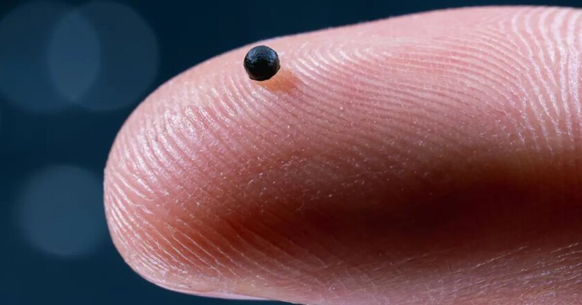 “Mikro robot” devrimi: Test başarılı oldu