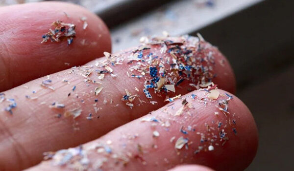 Çevre Dostu Yeni Plastik Üretildi