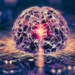 Beyin Hücreleri ile Bilgisayar Çağı Başlıyor